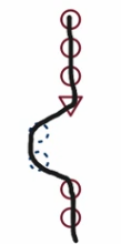 If the statement is true, the order of steps goes through the upper red circles, the statement, the blue dashed circles, and then the lower red circles.