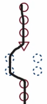 The blue dashed blue circles on the left side is executed if the statement is true.