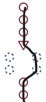The blue dashed blue circles on the right side is executed if the statement is false.